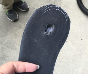 Shoe Insert
