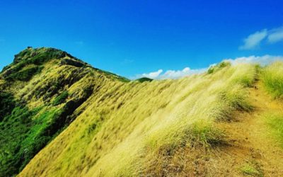 Making It To the Pillbox Ridge Line