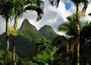 My mind filled with the frequent news reports of people lost in O'ahu's mountains.
