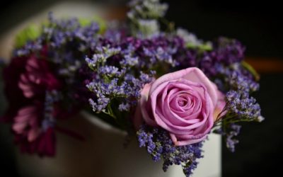 An Observation on Birth and Death