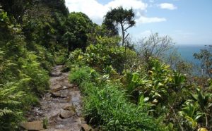 After our prayer, there was the trail!