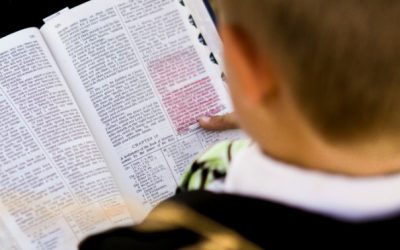 Nourished With the Good Word of God