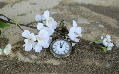 Time Slips By