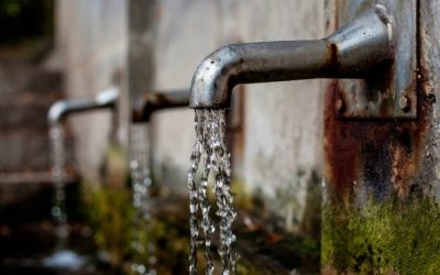 Thirsting after Knowledge