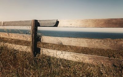 Mending Fences