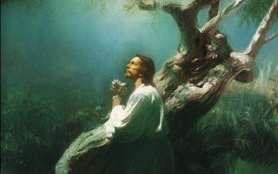 Understanding the Atonement