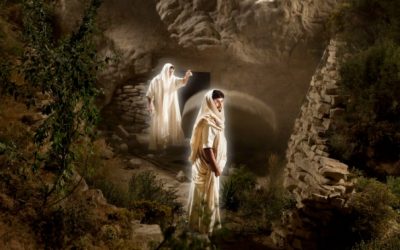 Bible Videos