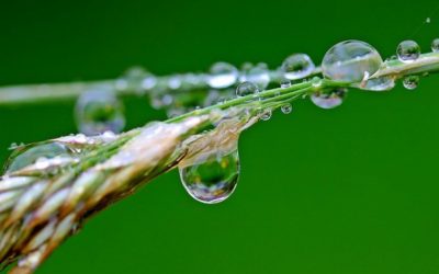 God IS in the Details of Our Lives