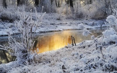 Chasing Away the Winter Blues