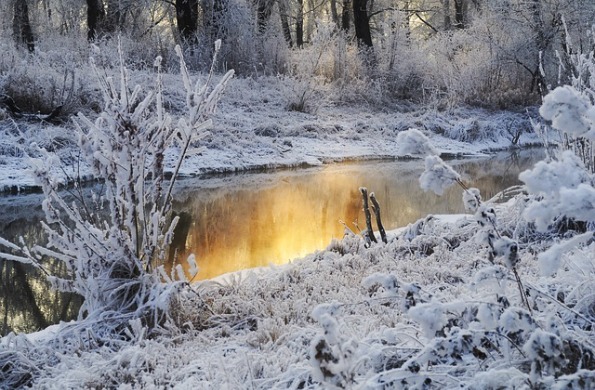 Chasing Away the Winter Blues