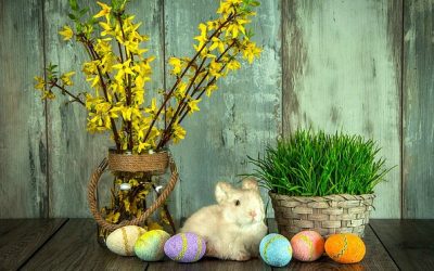 Eggsellent Easter Missionary Package