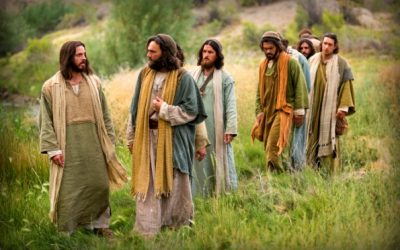 Discipleship with Precision