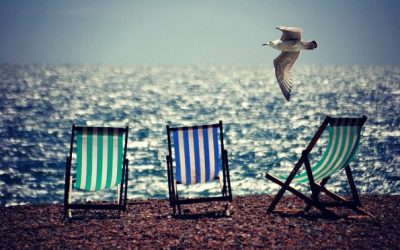 Summer Time Pests