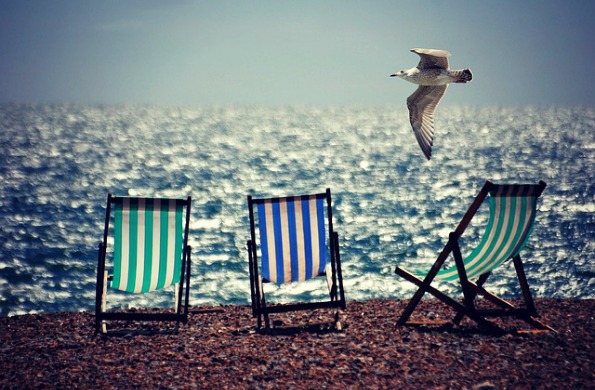 Summer Time Pests