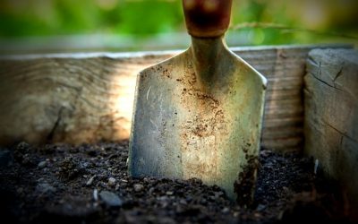 Dig Down Deeper