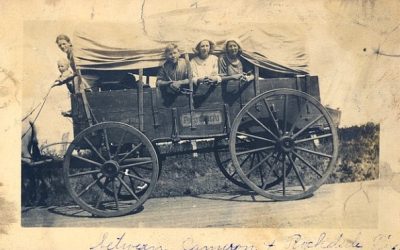 Collateral Lines in Family History