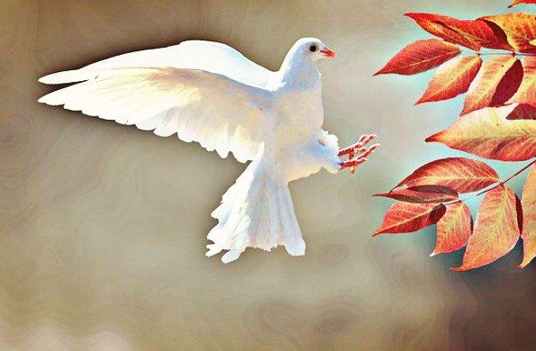 Harmony
