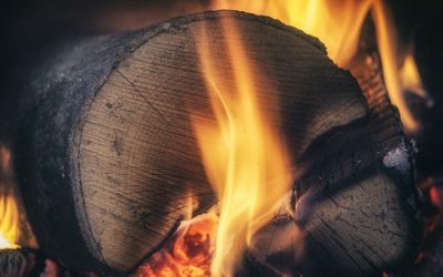 Firewood