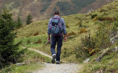 The Hike
