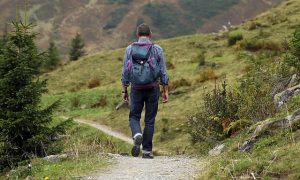 The Hike