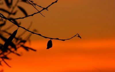 What I Learned Being Thrown out of Church