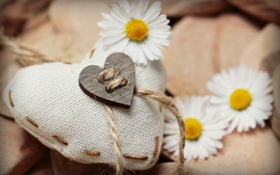 A Season of Gratitude
