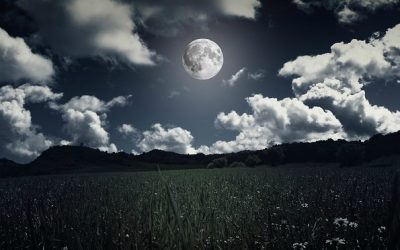 Aim for the Moon