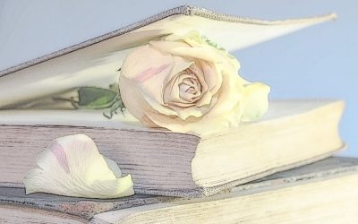 Learning the Gospel through New Church Lessons