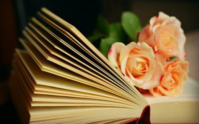 Family History 3: Message Boards and Family Trees
