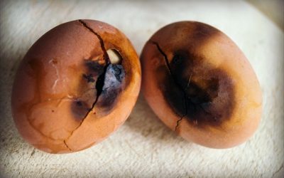 Good or Bad-A Story of How I Burnt My Breakfast