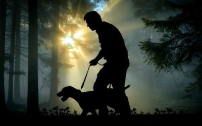 The Great Hunt
