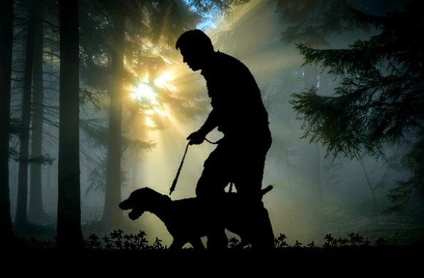 The Great Hunt