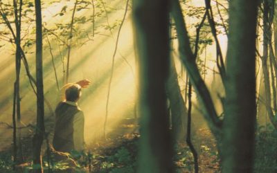 What the First Vision Means to Me