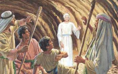 Faith in the Face of Tremendous Odds