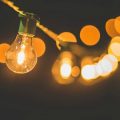 light bulb