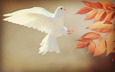 Choices: The Difference between the World and the Lord