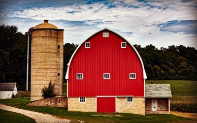 Lessons from the Farm