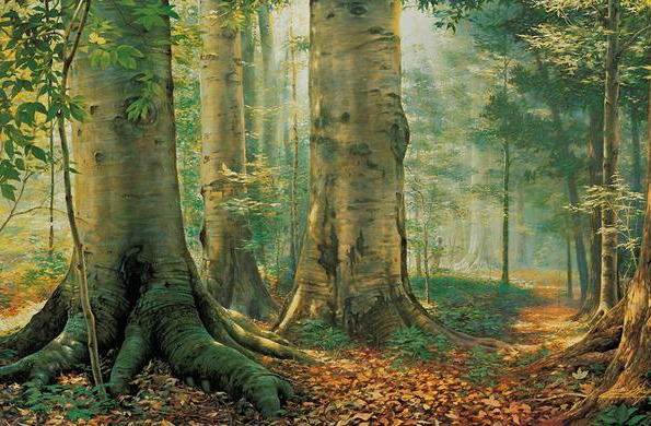 sacred grove