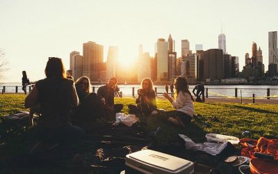 What are Social Skills?