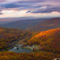 virginia sharp top fall trees