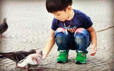 ABA Therapy from a Mom’s Perspective