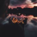 lights