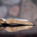 scriptures study
