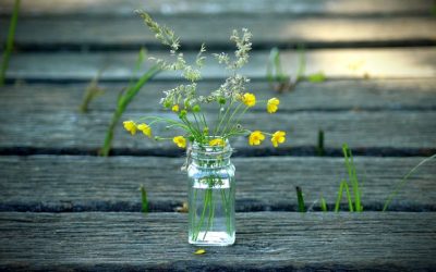 Vitamins Can Reduce Autism Symptoms