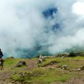 horse horseback riding
