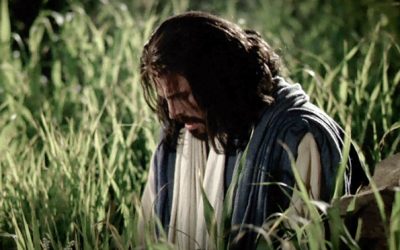 Christ Took On More Than Our Sins