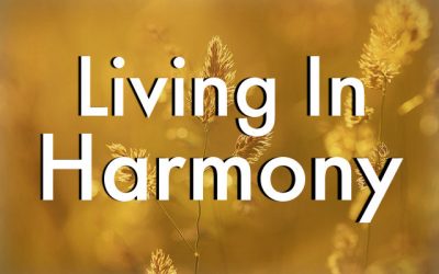 Harmonizing My Home: Marie Kondo Through LDS Eyes