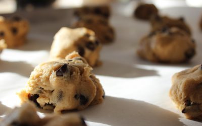Ingredients in God’s Recipes