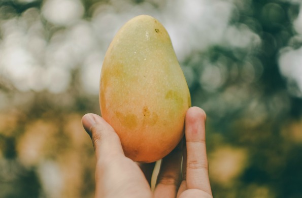 The Dream of the Mango Spoiled by Procrastination
