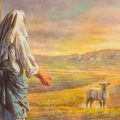 lamb sheep jesus